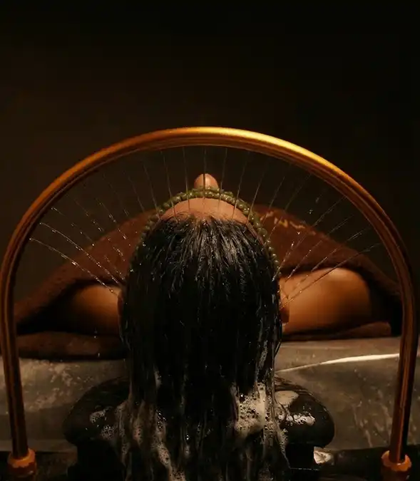 Korean Scalp Treatment